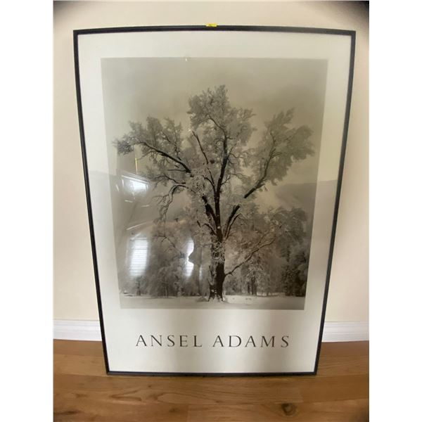 Ansel Adams Poster 25 x 35