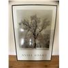 Image 1 : Ansel Adams Poster 25 x 35