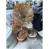 Image 2 : Under Table lot - Misc Ceramic Planter Pots & Galvanized Buckets