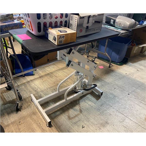 Adjustable Vet Stand / Examination Table From Good Doctor TV Set