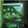 Image 2 : Group lot of misc. Halloween Decorative Items - includes signs/Hanging ghosts etc.