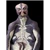Image 2 : "DC Legends of Tomorrow" - Alien Gary Suit -  - SCREEN USED - High Value - Includes full suit