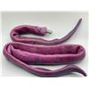 Image 2 : "DC Legends of Tomorrow" - Pair of Alien Kayla severed tentacles