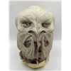Image 2 : LEGENDS OF TOMORROW ‘Alien Kayla’ Foam mask (unpainted)