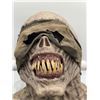 Image 2 : "Nancy Drew" - Wraith cowl w/ foam cast (white stand not included) - SCREEN USED