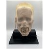 Image 1 : "Debris" - Face transplant piece (skin and face)