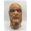 Image 1 : "Sanctuary" - Big Foot Face - SCREEN USED