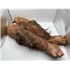 Image 2 : "Sanctuary" - Set of 2 Big Foot Face Masks w/ 5 Big Foot suit arm attachments - SCREEN USED