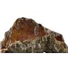 Image 2 : "DC Legends of Tomorrow" Alien Gary's Egg Nest - approx. 4 1/2ft length x 2ft width - High Value