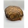 Image 2 : "Ghost Wars" - Pod Nest (approx. 15in x 15in x 7in height)