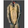Image 2 : "Sanctuary" - Lizard Man Suit