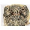 Image 2 : "Falling Skies" - Shaq Silicone Face Pieces