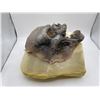 Image 2 : "Nancy Drew" - Corpse silicone face w/ cast
