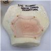 Image 3 : DC "Legends of Tomorrow" - J-Edgar Hoover face piece & neck glass silicone pieces