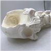 Image 2 : Movie Set Dec Skull