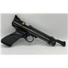 Image 2 : .22 Cal Pellet air soft gun