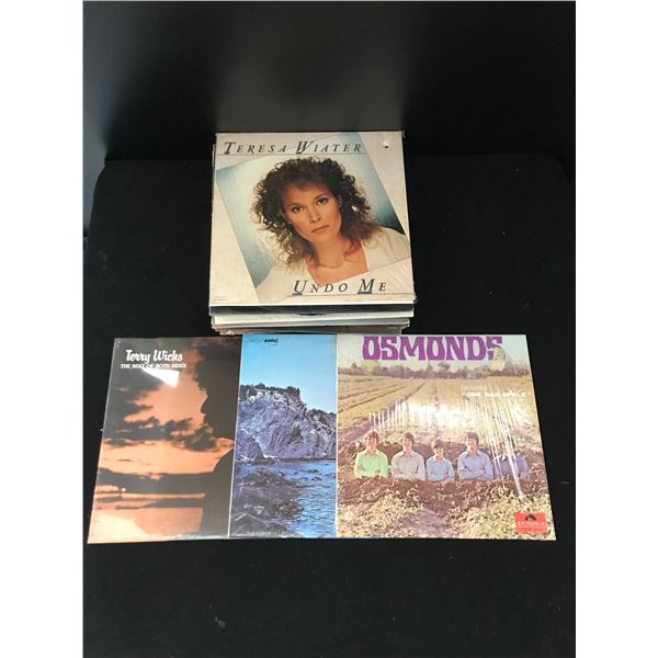 LARGE VINYL RECORD LOT
