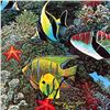 Image 2 : Undersea Song by Nelson, Robert Lyn