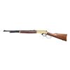 Image 2 : NEAR NEW HENRY REPEATING ARMS MODEL H010B LEVER
