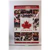 Image 1 : Vancouver 2010 Olympic Hockey Champions Picture (Some Lifting at bottom) - 34"x22" - CANNOT SHIP