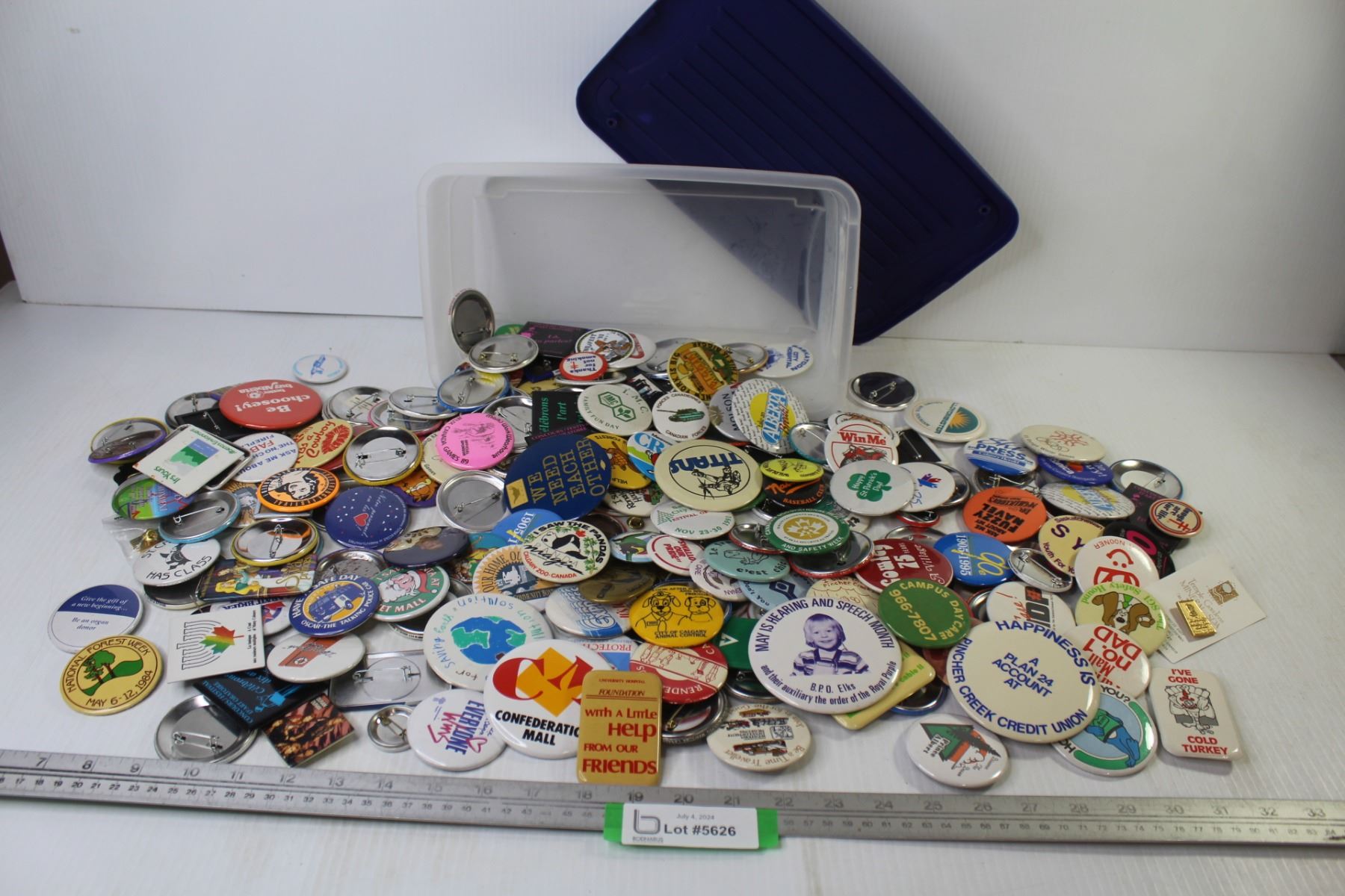 Large Assortment of Button Pins in Plastic Container - Bodnarus ...