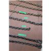 Image 2 : *25' Chain (no hooks), 13' Chain w/Hooks, 2.5' & 5' Tail Chains