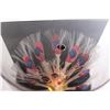 Image 2 : Fiberoptic Peacock Light - Works