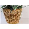 Image 3 : Faux English Ivy Plant in Wicker Pot
