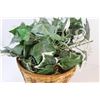 Image 5 : Faux English Ivy Plant in Wicker Pot