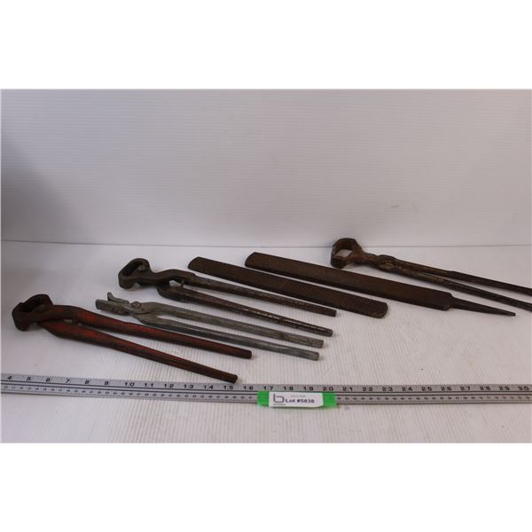 (4) Horse Ferrying Tools & (2) Rasps