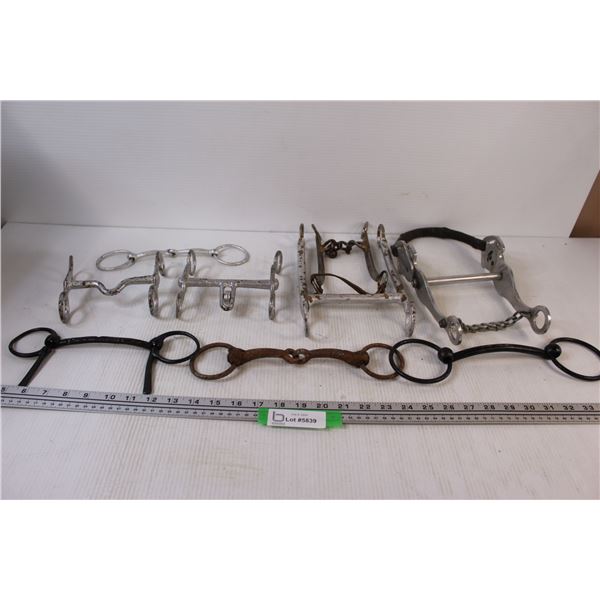 (9) Horse Bits