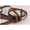 Image 4 : Horse Hackamore & Reins/Lead