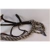 Image 3 : Horse Hackamore & Reins/Lead