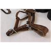 Image 3 : Horse Halter, Set of Stirrups, (3) Horse Boots/Cuffs