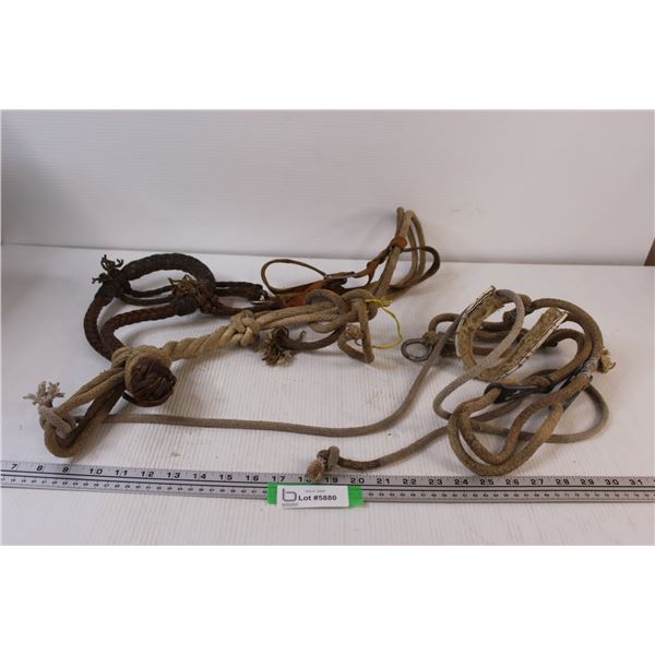 Horse Hackamore & Reins/Lead