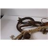 Image 2 : Horse Hackamore & Reins/Lead