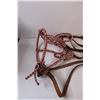 Image 2 : (2) Horse Hackamore & Reins/Lead