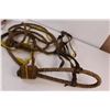 Image 4 : (2) Horse Hackamore & Reins/Lead