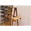 Image 4 : * Wooden Ladder