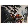 Image 2 : *Winter Print