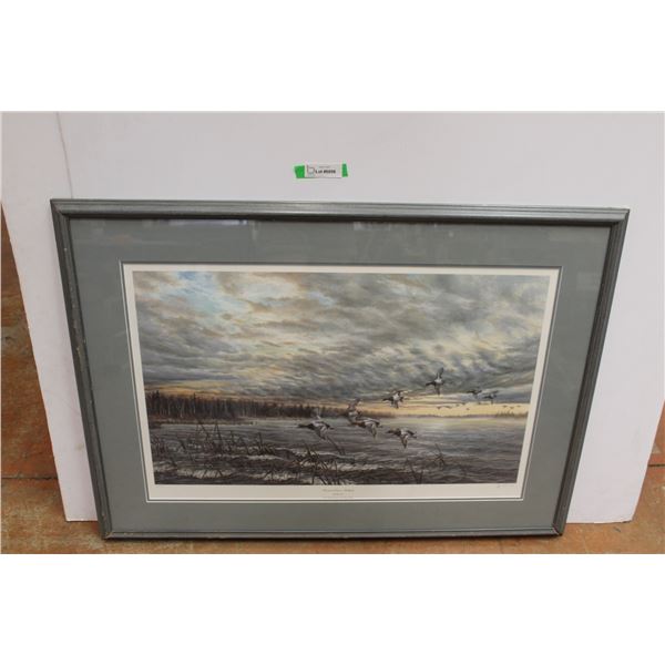 *Pursuer of Redheads - Dawn Print - 42" x 31"