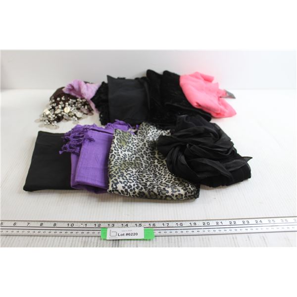 Ladies Pashmina and Shawl etc.