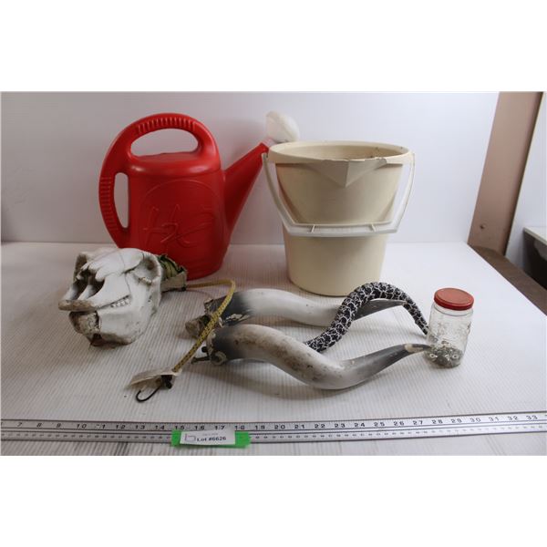 Artificial Skull, Watering Can, Misc.