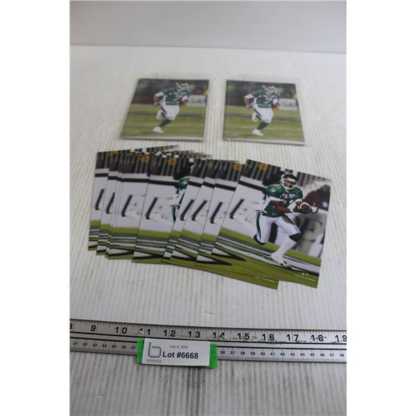 Saskatchewan Roughrider Player Pictures