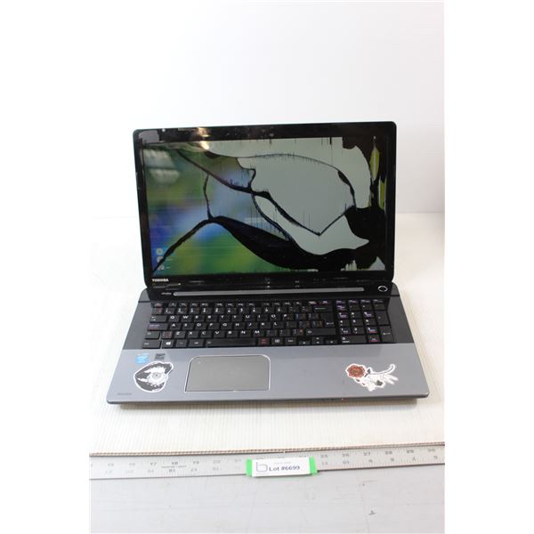 Toshiba Laptop - Works but Has Damaged Screen