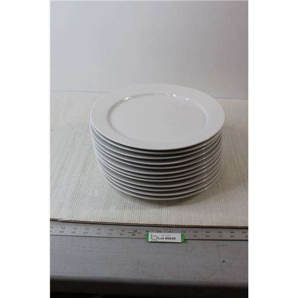 (12) Ikea Plates - 12 1/2" Diameter