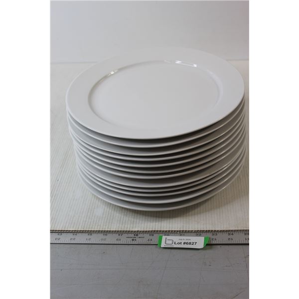 (12) Ikea Plates - 12 1/2" Diameter
