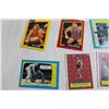 Image 2 : Deck of WCW Wrestling Cards