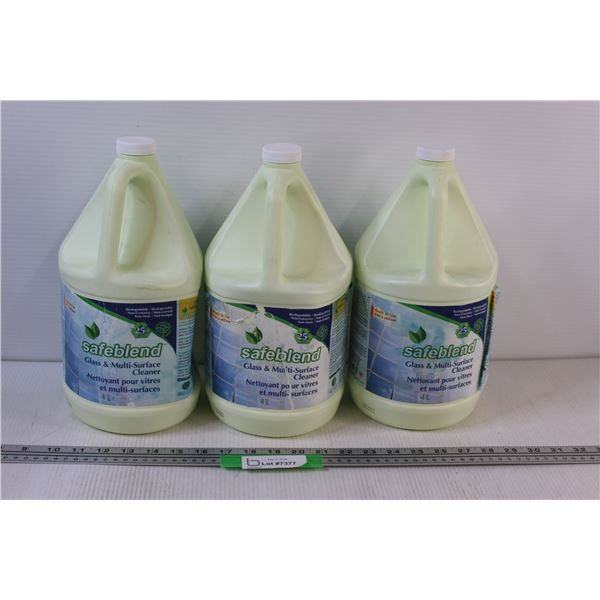 (3) Glass & Multi Surface Cleaner - 4L Size