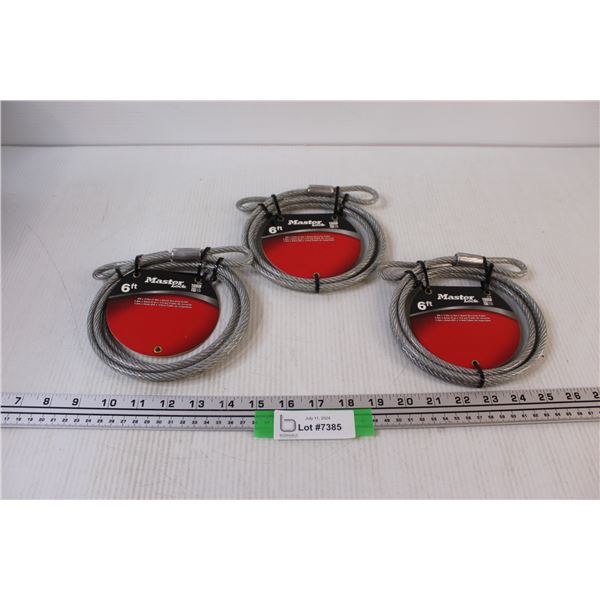 (3) 6Ft Master Lock Cable